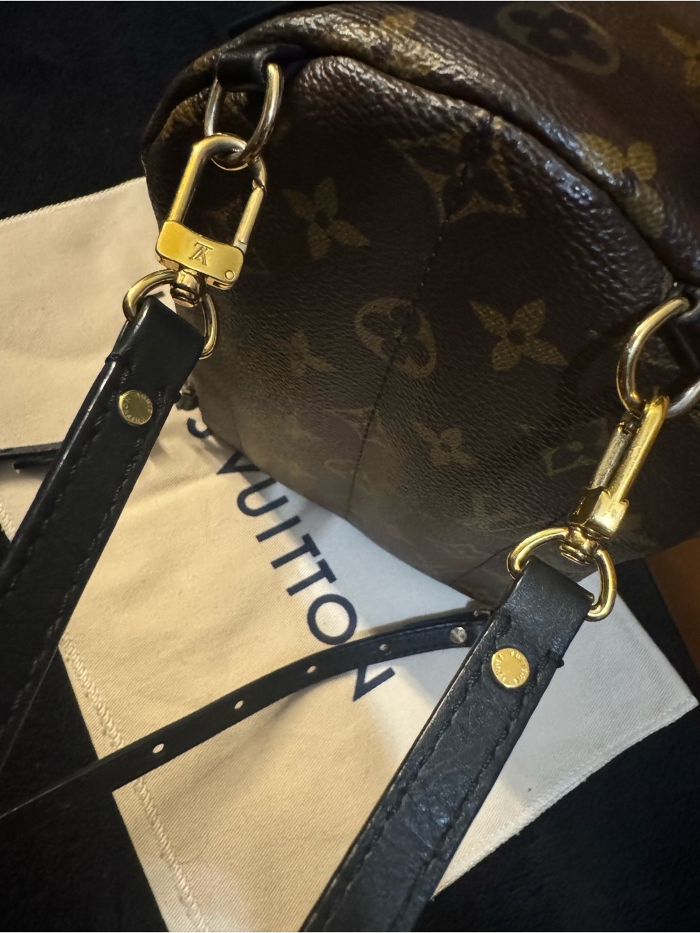 AUTHENTIC Louis Vuitton Monogram Canvas Palm Springs Mini Backpack - Picture 4 of 6